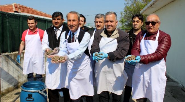 Kedilere festival ciğeri