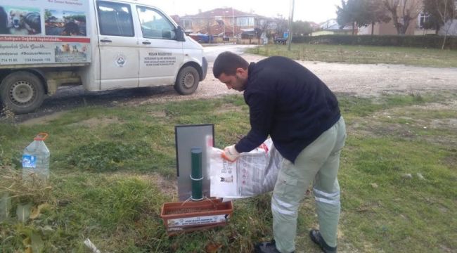 Mama fiyatı arttı sokak hayvanları etkilendi