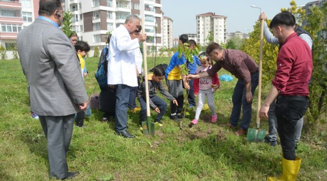 Okul bahçesine meyve fidanı