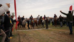 Birinci 10 numara