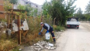 Kemirgenlerle mücadeleye devam
