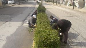 Uzunköprü bakıma alındı