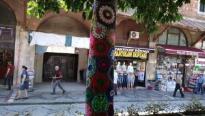 Ağaçlara kadın eli değdi