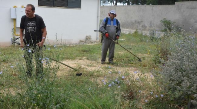 Bin dönümlük yeşil alan tırpanlandı