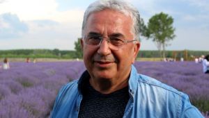 Buğday yerine lavanta ekin önerisi