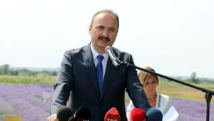Canalp’ten lavanta balı önerisi