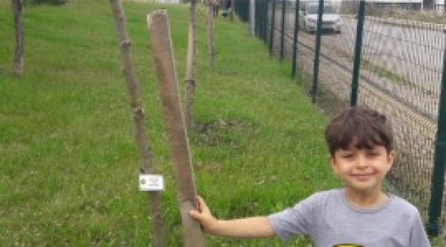Fidanlar emin ellerde