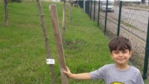 Fidanlar emin ellerde