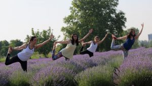 Lavanta tarlasında yoga