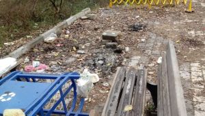 Tavuk Ormanı paneline davet