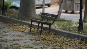 Edirne’de yaz ortasında sonbahar