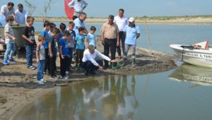 Göletler balıklandırıldı