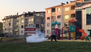 Sabah 5’te, sivrisinekle mücadele