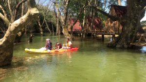 Saklı körfez; Saros