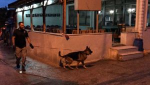 Uyuşturucu operasyonunda 8 tutuklama