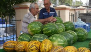Yerli karpuz fiyatı düşürecek
