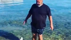 Yüzerken balina kemikleri buldu