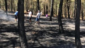 5 dekarlık orman yandı