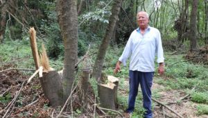 Ağaç kesimi yapanlara fotokapan  önlemi