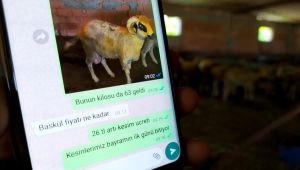 Mobil kurbanlık satışı