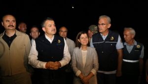 Orman yangını söndürüldü