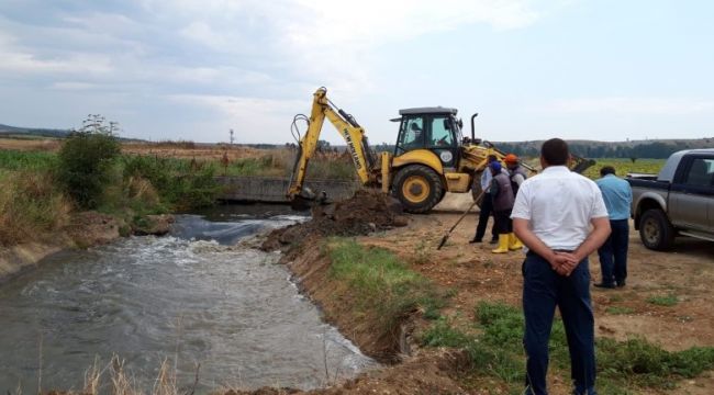 Sultanköy Barajı çeltik tarlalarını suladı