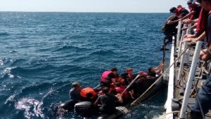 Bitmek bilmeyen kaçaklar