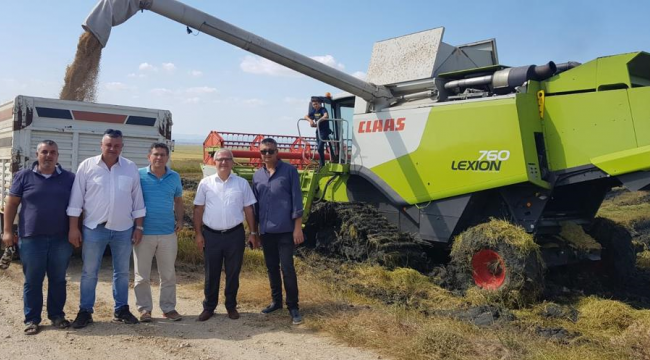 Çeltik hasadı İpsala’da başladı