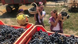 Festival, hem tanıtacak hem eğlendirecek