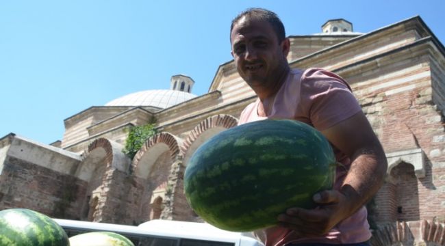 Gübresiz dev karpuz yetiştirdi