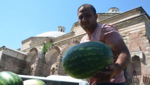 Gübresiz dev karpuz yetiştirdi