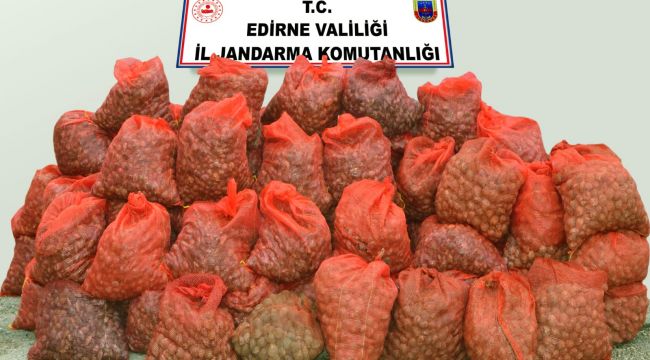 Midye operasyonu
