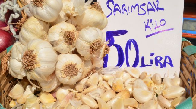 Pazarda rekor sarımsağın