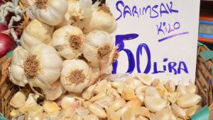 Pazarda rekor sarımsağın