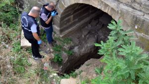 Tarihi köprüde sikke bulundu