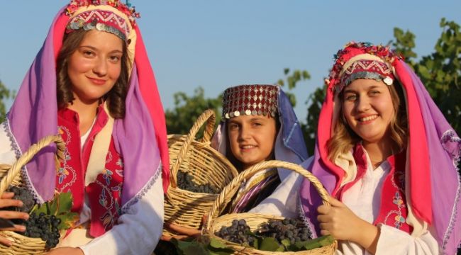 Yeniköy’de gırnatalı bağbozumu