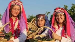 Yeniköy’de gırnatalı bağbozumu
