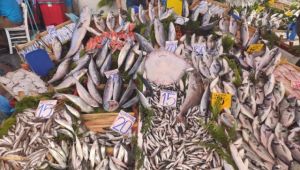 Bulgarlardan balığa yoğun ilgi