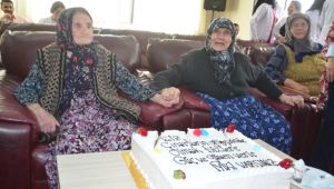  Çınarlara 100 yaş pastası