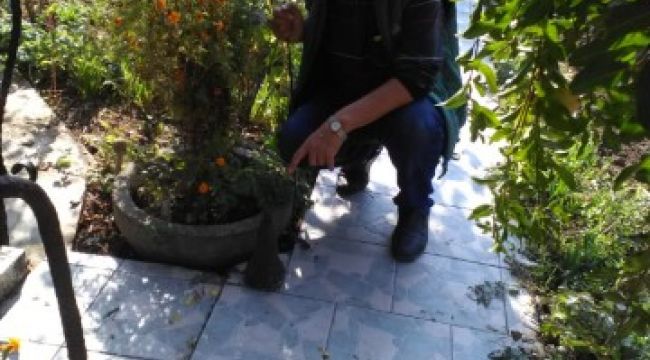 Gazinin evinde top güllesi