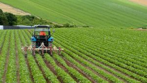 Kırsal kalkınma destekleri başvuruları uzatıldı