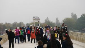 “Köprü araç trafiğine açılmasın”