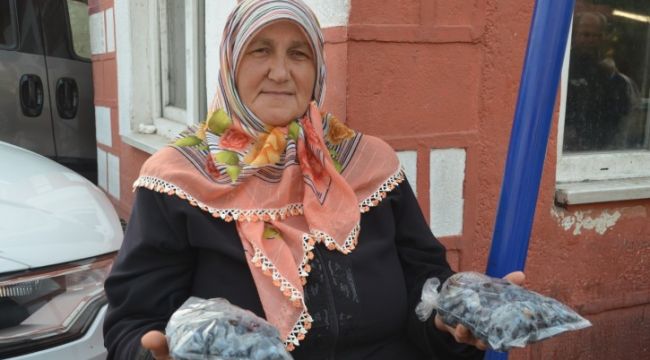 Şifa kaynağı güvem