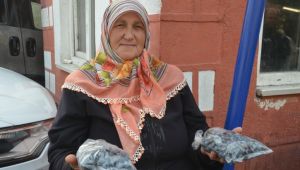 Şifa kaynağı güvem