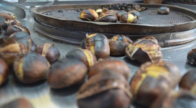 Çin kestanesine dikkat