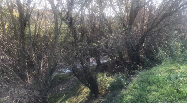 Dere için incelemeler başlatıldı