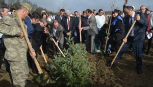 Edirne’ye 122 bin 500 fidan