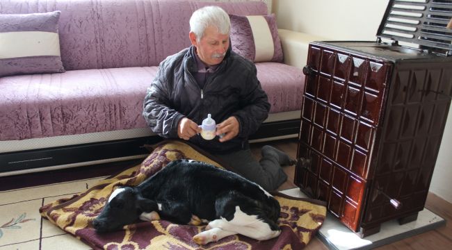 Her şey Yaşar’ı yaşatmak için