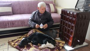 Her şey Yaşar’ı yaşatmak için