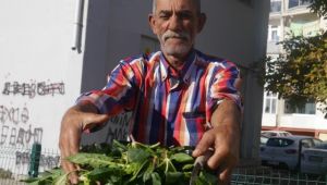 Ispanak satışları düştü